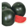 seminte-pepene-ricca-f1