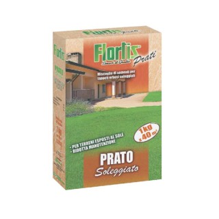 Gazon de soare, 1 kg