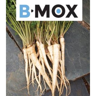 Arat B-MOX (100.000 seminte)