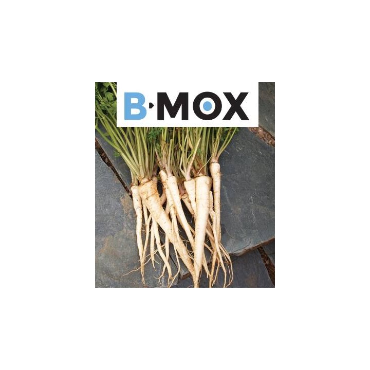 Arat B-MOX (100.000 seminte)