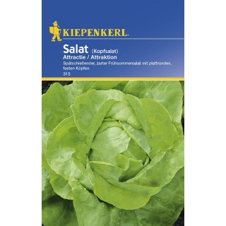 Salata Attractie (aprox. 200 sem)