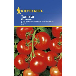 Tomate Moneymaker (15 sem)