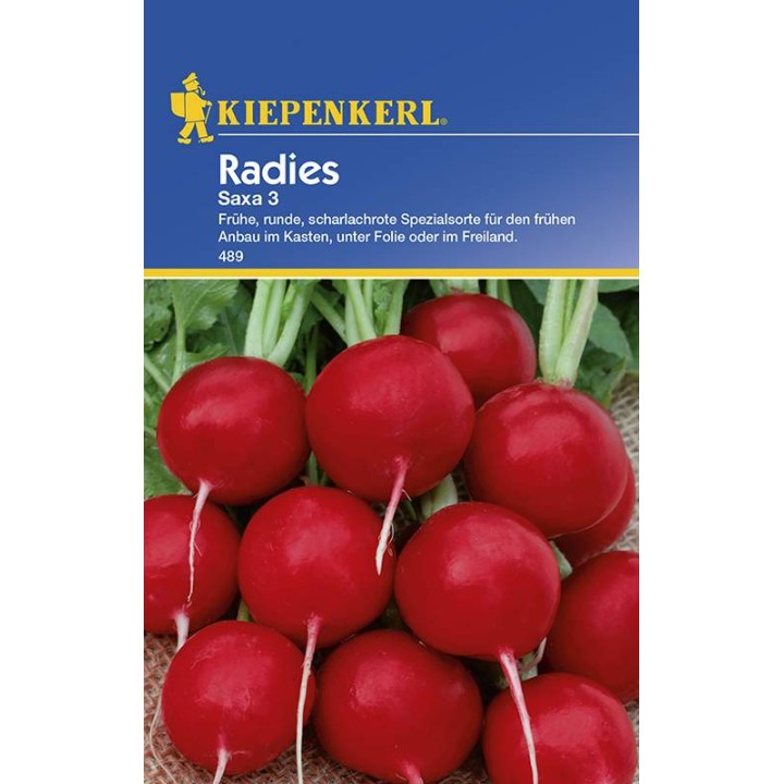Seminte de ridichi Saxa 3, Kiepenkerl