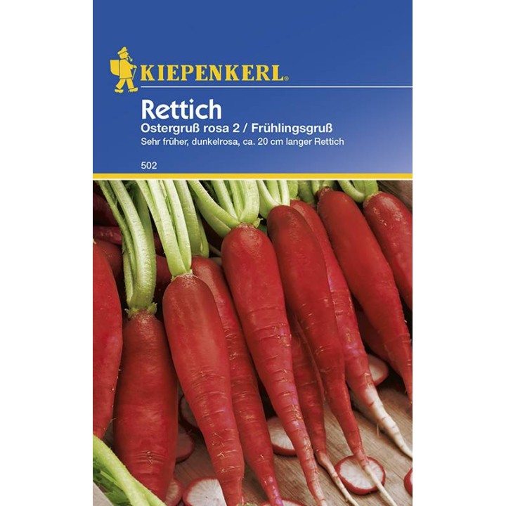 Ostergruss Rosa (120 sem)