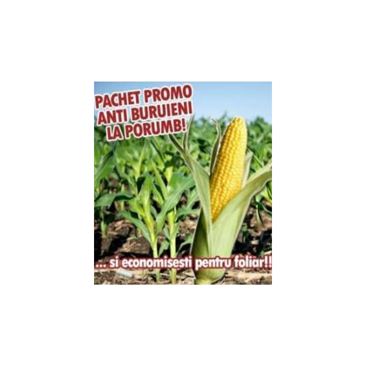 Pachet anti-buruieni la porumb, 1 hectar