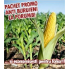 Pachet anti-buruieni la porumb, 1 hectar