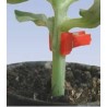Seminte de pepene verde Pelops F1 RZ