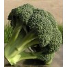 Seminte de broccoli Ironman F1, 1000 Seminte