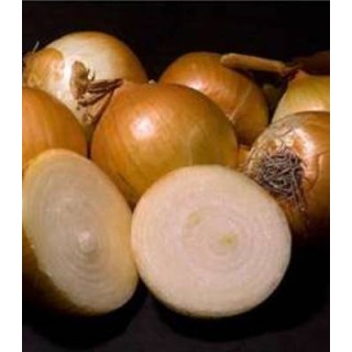Seminte de ceapa Globe Yellow Danvers, 250.000 Seminte