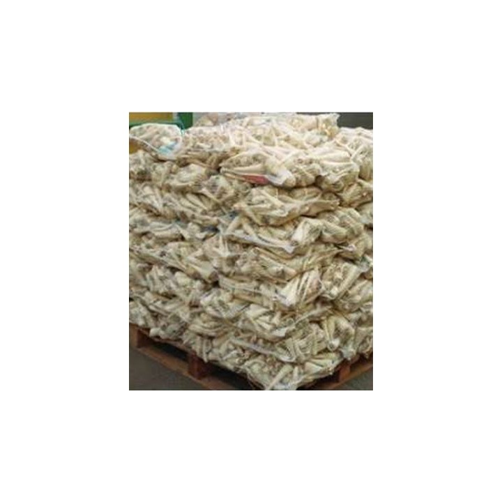 Seminte de patrunjel de radacina Arat (50 grame)