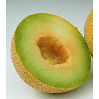 Seminte de pepene galben Passport F1