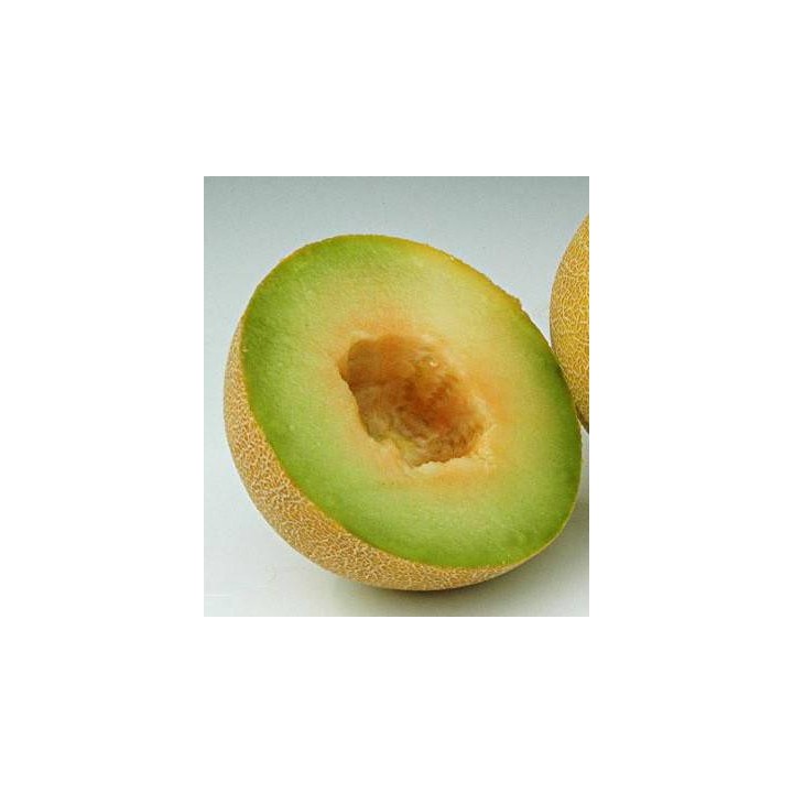 Seminte de pepene galben Passport F1