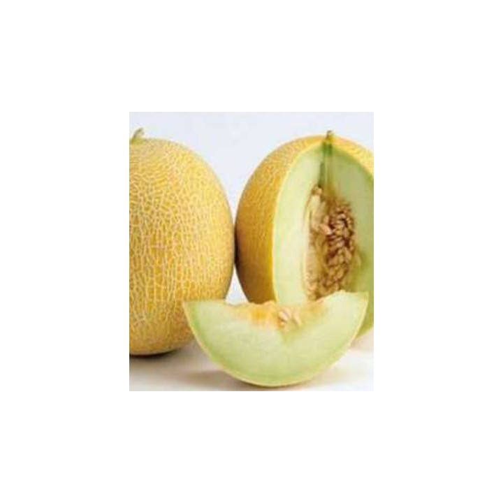 Seminte de pepene galben Marisole F1 