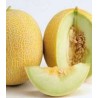 Seminte de pepene galben Marisole F1 