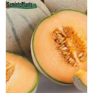 Seminte de pepene galben  Pallar F1