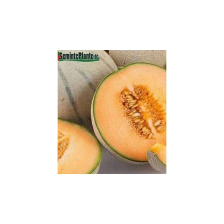 Seminte de pepene galben  Pallar F1