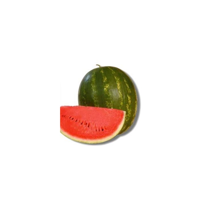 Seminte de pepene verde Karistan F1, 1000 seminte