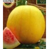 Pepene Zloto Woloci (1 gr)