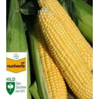 Seminte de porumb zaharat Sweet Nugets F1