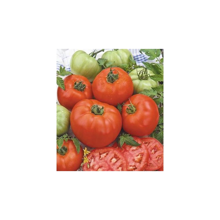 Seminte de tomate Sandor F1