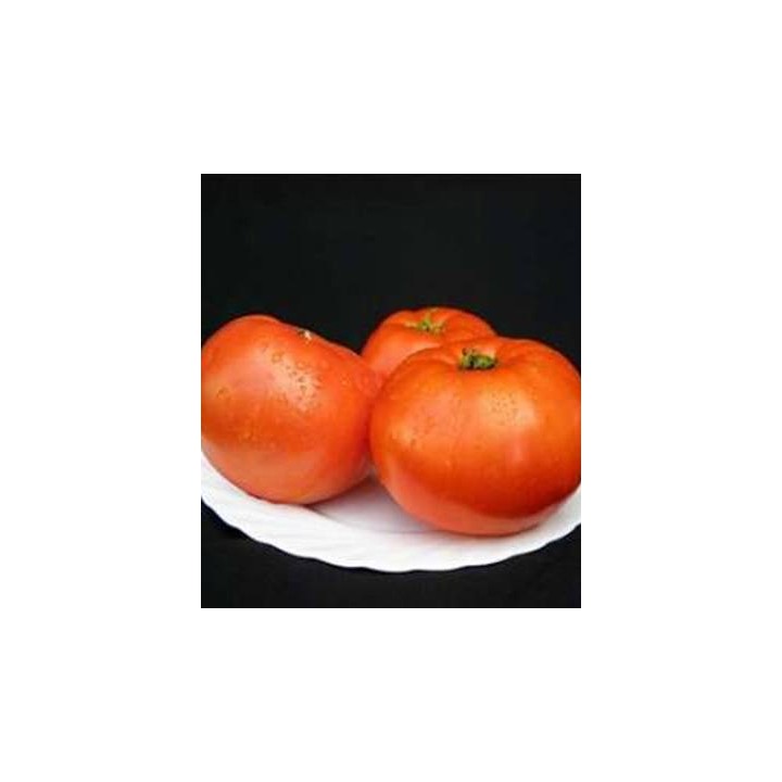Seminte de tomate Mirsini F1