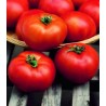 Seminte de tomate Hector F1, 1000 seminte