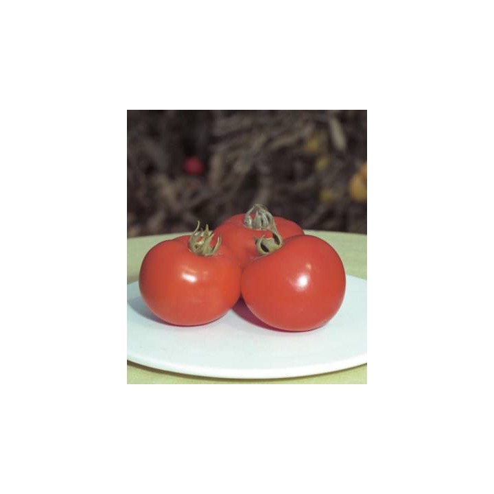 Seminte de tomate extratimpurii Polfast F1