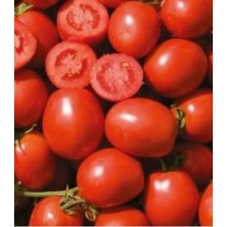 Seminte de tomate Vulcan F1, Nunhems
