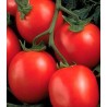 Seminte de tomate Perfectpeel F1