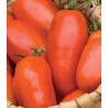 Seminte de tomate de camp Incas F1