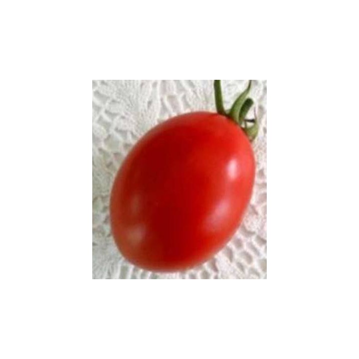 Seminte de tomate Chelsea F1, Seminis