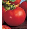 seminte de tomate marissa