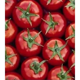 Seminte tomate nedeterminate Mondial F1