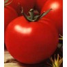Seminte de Tomate Optima F1, 15 seminte