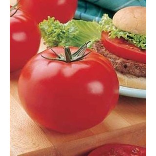 Seminte de tomate Big Beef F1