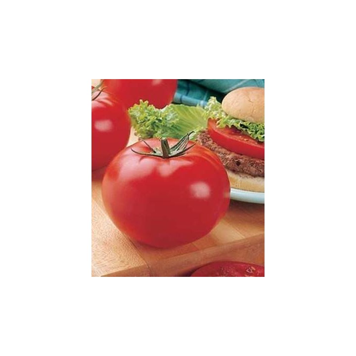 Seminte de tomate Big Beef F1