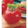 Seminte de Tomate Big Beef F1, 15 seminte