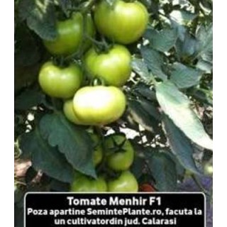Seminte de tomate Menhir F1