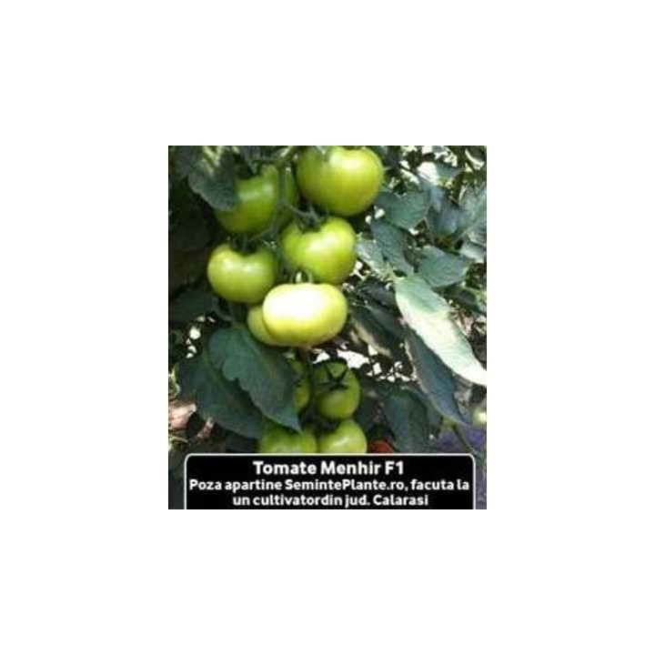 Seminte de tomate Menhir F1