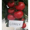 Seminte de tomate Lorely F1, 1000 seminte