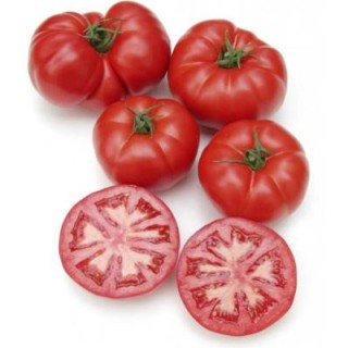 Country Taste F1, tomate, 250 seminte