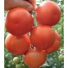 Seminte de tomate Lillos F1 RZ