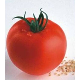 Seminte de tomate Petula F1 RZ