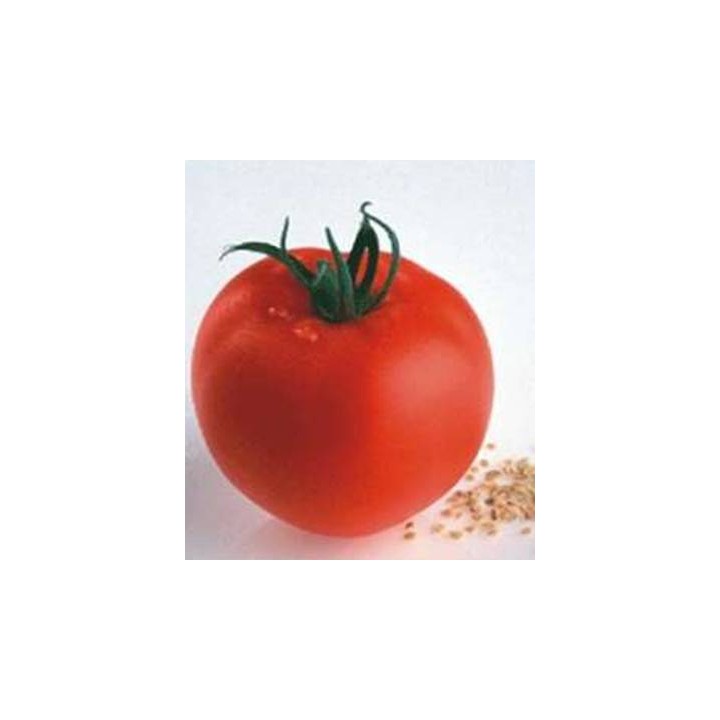 Seminte de tomate Petula F1 RZ