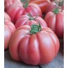 Seminte de tomate Monterosa F1