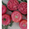 Seminte de tomate roz Fuji Pink F1