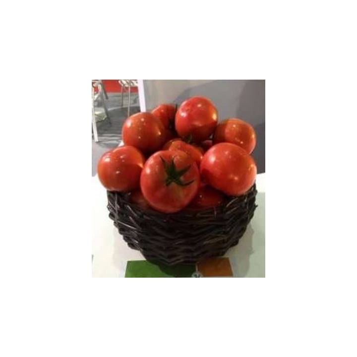 Seminte profesionale de tomate Jastis F1, Hazera