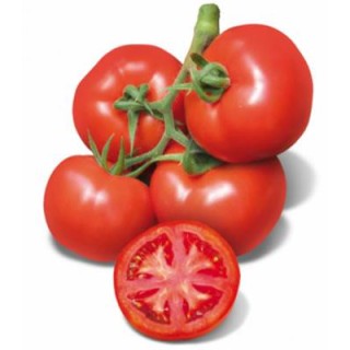 Seminte profesionale de tomate Cherokee F1