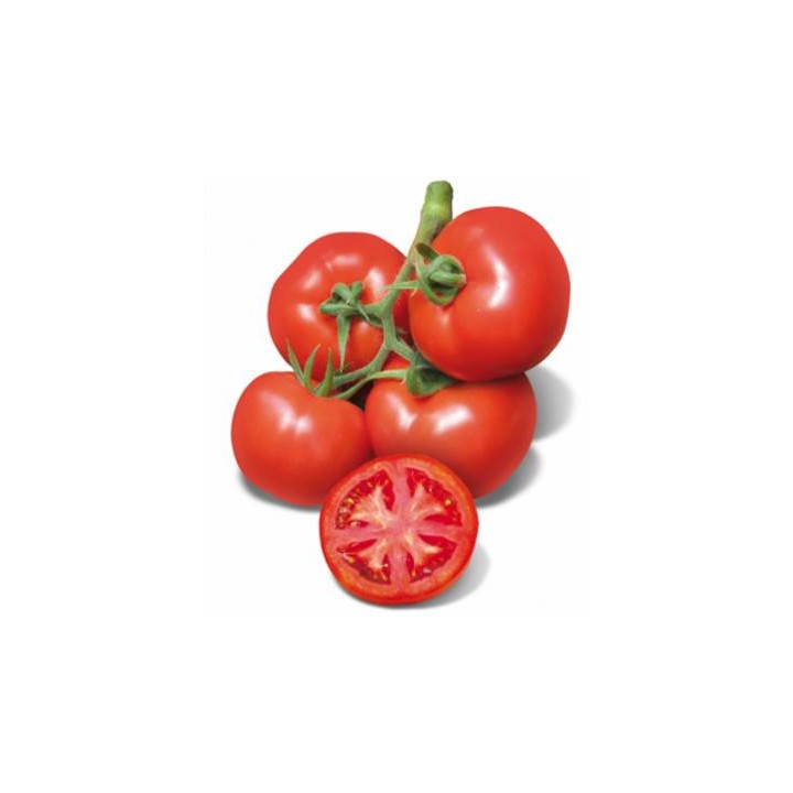 Seminte profesionale de tomate Cherokee F1