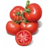 Seminte profesionale de tomate Cherokee F1